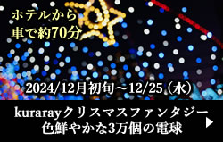 kurarayクリスマスファンタジー色鮮やかな3万個の電球