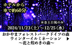 おかやまフォレストパークドイツの森 ウィンターイルミネーション～花と煌めきの森～